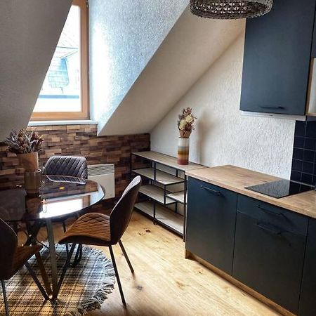 Cozy And Warm Apartment In The Heart Of Karlsbad Экстерьер фото