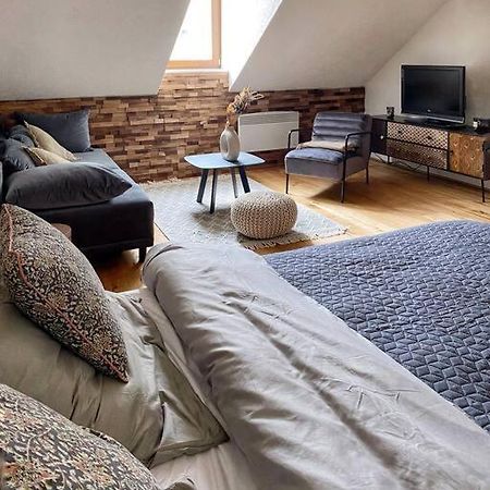 Cozy And Warm Apartment In The Heart Of Karlsbad Экстерьер фото